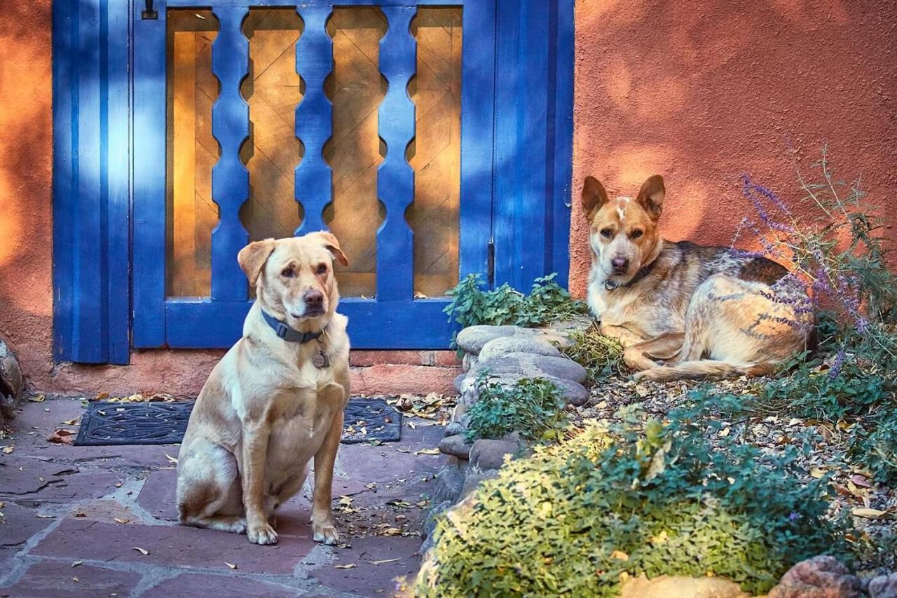 阿都比派恩斯住宿加早餐旅馆 Ranchos de Taos 外观 照片